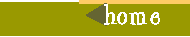 home.GIF (390 bytes)